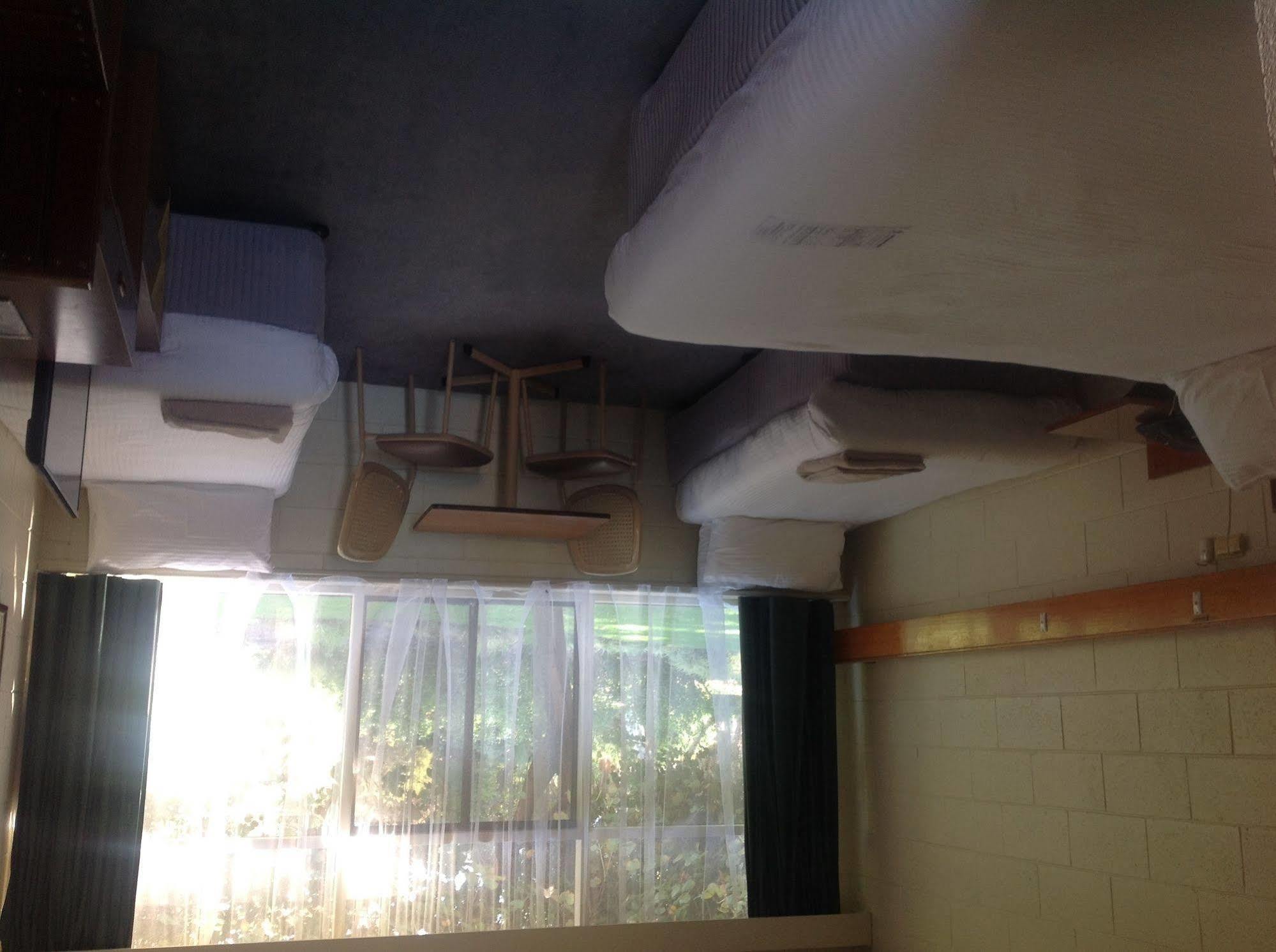 וויאלה Foreshore Motor Inn מראה חיצוני תמונה