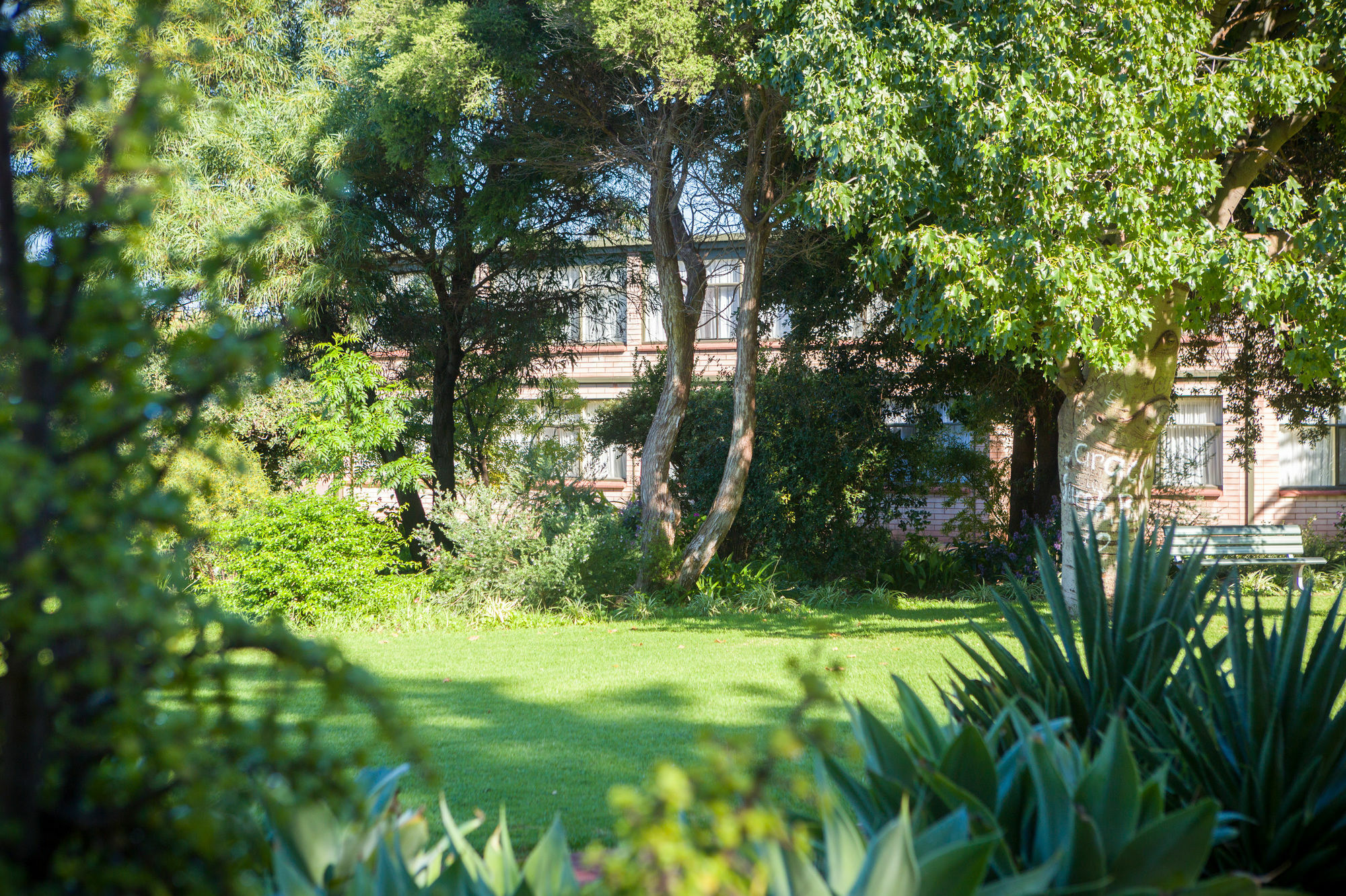 וויאלה Foreshore Motor Inn מראה חיצוני תמונה